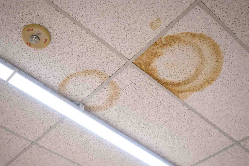 10 signes de dégâts d'eau au plafond